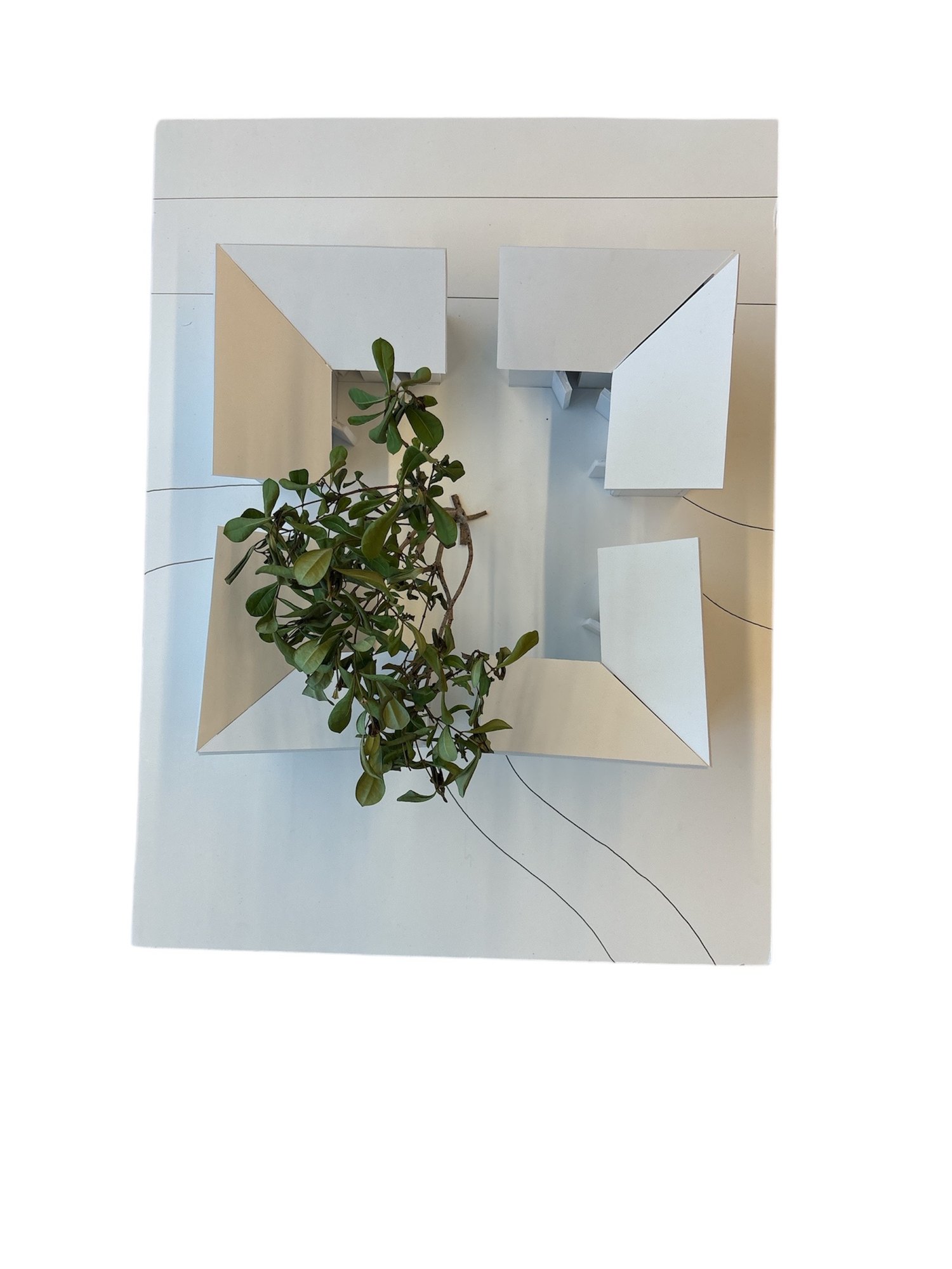 The meditation space model from above, pavilions in an L around the tree